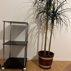 【雑貨類】ガラス製サイドテーブルと観葉植物(造花)