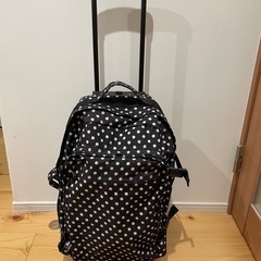 キャリーバッグ　買い物に便利