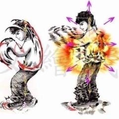 中国武術『意拳』