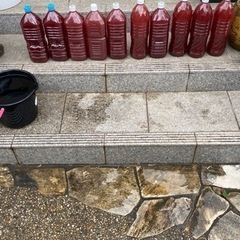 光合成細菌　濃厚PSB 2L （オマケ有）