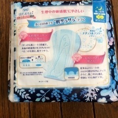 ソフィ　はだおもい　極うすスリム290わの画像