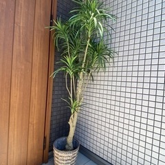 【決まりました】インテリア 観葉植物 造花