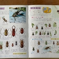 本、よいこの学習百科　全巻の画像