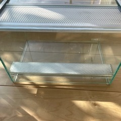 爬虫類ケージ