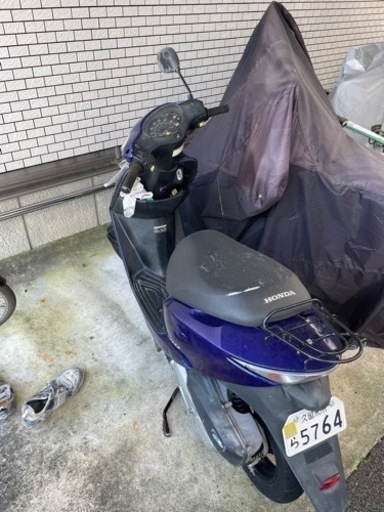 本日限定価格ホンダDIO