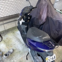 本日限定価格ホンダDIO