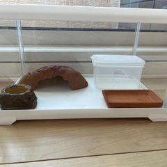 爬虫類　ケージ