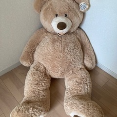 コストコ くまさん 無料で！ 決定しました！