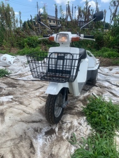 ホンダジャイロUP TA01 実動車！