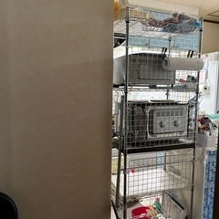 レンジ台スチールラック(取り引き決まりました)の画像