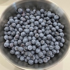 決まりました。　ブルーベリー　無農薬