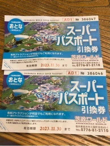 芝政ワールド　スーパーパスポート　大人2枚