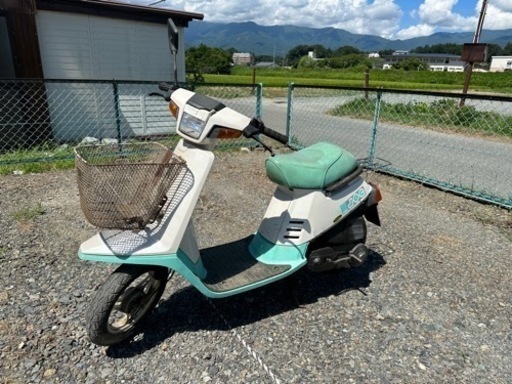 ペリカンジョグ　レトロ‼️