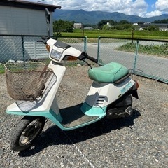 ペリカンジョグ　レトロ‼️