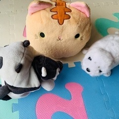 ぬいぐるみ　の画像