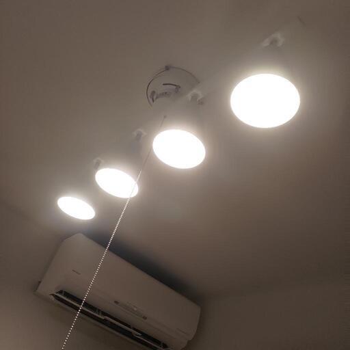 ホワイト/ナチュラル 4灯シーリングライト ニトリ 4灯シーリングライト(LI-ZU ホワイト) 商品コード 8373026