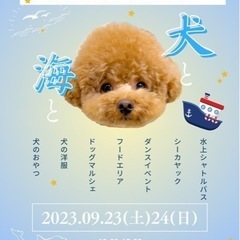 【出店者募集※先着優先】THE DOG FES vol.2