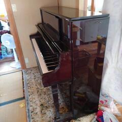 クラインツバッハ　アプライドピアノ（無料）8/10までの画像