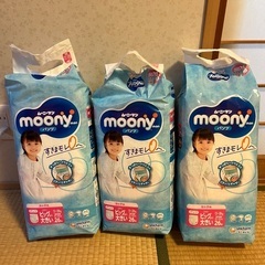 紙おむつビッグより大きいサイズ【パンツタイプ】