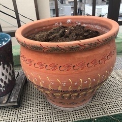 大型　植木鉢　土付き　テラコッタ　素焼き鉢　家庭菜園・観葉植物・...