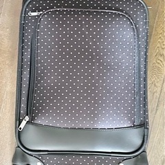 【本日対応可能】キャリーケース　レディース