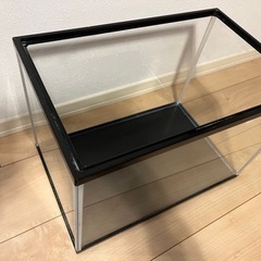 GEXアクリル水槽40センチの画像