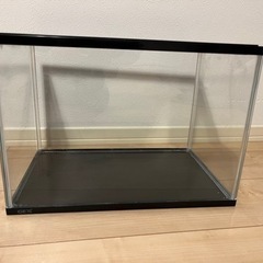 GEXアクリル水槽40センチの画像