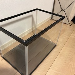 GEXアクリル水槽40センチの画像