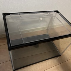 GEXアクリル水槽40センチの画像