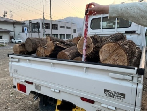 薪（運搬可）乾燥済　70cm 広葉樹（ニセアカシア）軽トラ大盛り