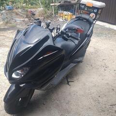 マジェスティC(250cc)の画像