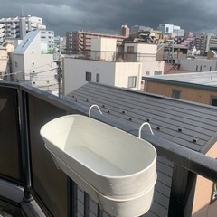 【新馬場】IKEAガーデニングポットの画像