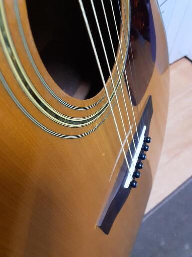 終了、激レア MORRIS  MF-40 (エレアコ)ギグバック付