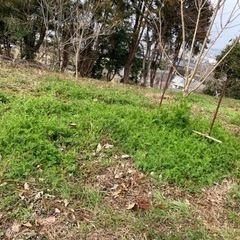 広い畑②(380坪)❗️条件付き値下げ❗️普通車乗り入れ可能