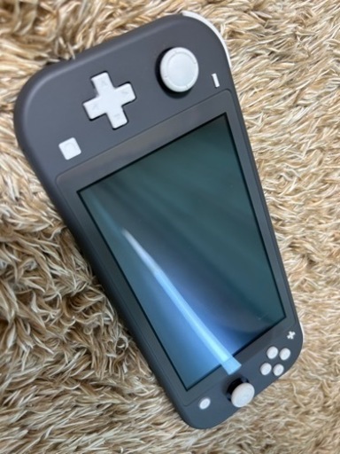 おもちゃ Switch light