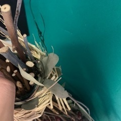 ドライフラワー　スワッグ　の画像