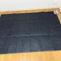 Panasonic 電気カーペット　DC-15NK