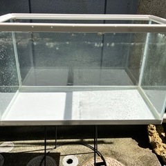 GEX 60cm水槽