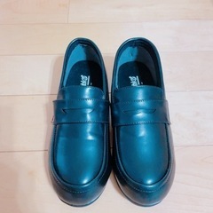 キッズ　フォーマルシューズ　Bio FITTER kids サイズ22cmの画像