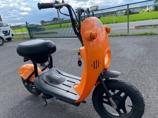 スズキ　チョイノリ