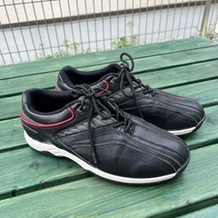 イグニオ　ゴルフシューズ　25.5cm