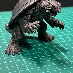 ガメラ😁とガメラ頭蓋骨😱😱の画像