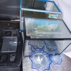 ○水槽 虫かご 金魚鉢 まとめてセット 魚 熱帯魚 その他