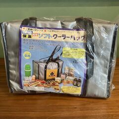【実用レトロ】保冷・保温バッグ①