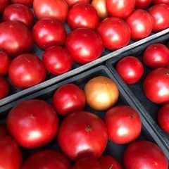 😀久万高原産🍅大玉トマト🍅