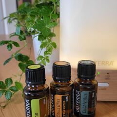 Aroma Work Shop②