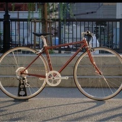 FUJI BALLAD 43 BRONZE