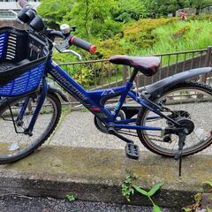 子ども用自転車 青 ブリジストン