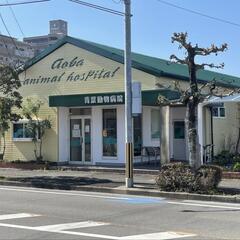 遮熱塗装で屋根と外壁を綺麗で長持ち。