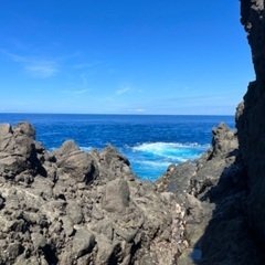 ルアー 沖磯 ショア 釣り仲間募集 - スポーツ